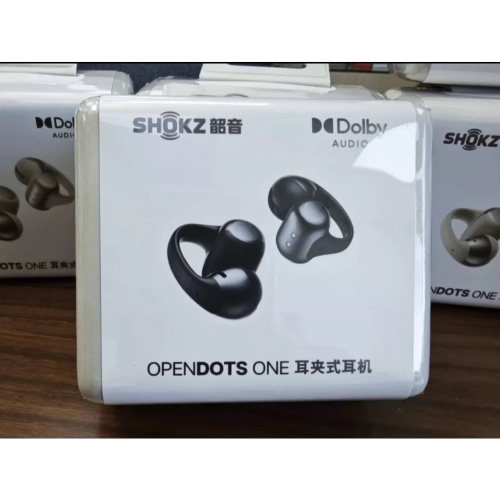 現貨 Shokz310 陸版 韶音動鈦圈OpenDots ONE E310耳夾式