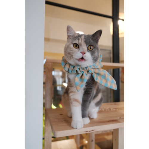 Cat Dress 貓手作 _長短結領巾 雙色小方格蝶結款 裝飾領巾 寵物裝飾項圈 貓項圈