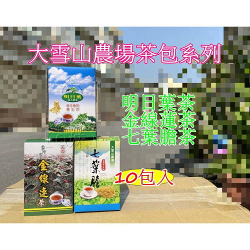 【Q妹】大雪山 農場 大雪山農場 台灣國寶 金線蓮茶 金線蓮 明日葉 海人蔘茶 七葉膽 茶 茶包 10包/盒