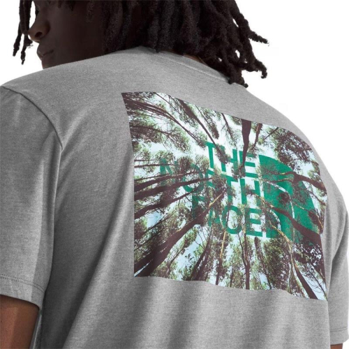 The north face 北臉 TNF 森林短TEE