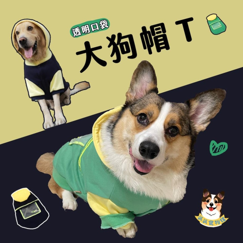 透明口袋帽T? 寵物衣服 狗狗衣服 狗衣服 寵物服飾 中型犬衣服 大型犬衣服 大狗衣服 寵物保暖 柯基衣服 柴犬衣服 狗