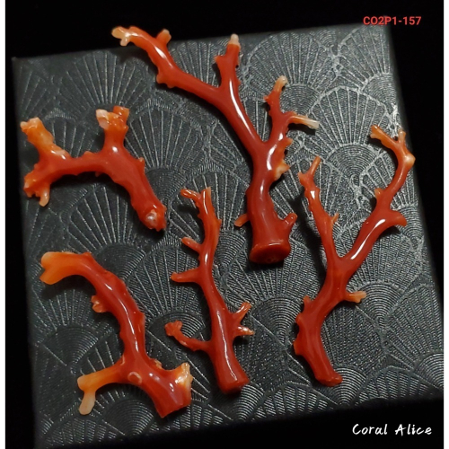 ?Coral珊寶手作-天然阿卡珊瑚自然枝(無孔) 30.8-51.0mm CO2P1-157