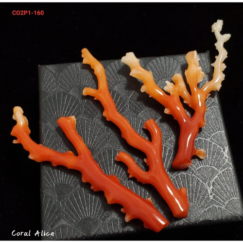 ?Coral珊寶手作-天然阿卡珊瑚自然枝(無打孔已拋光) 65.2-80.9mm CO2P1-160