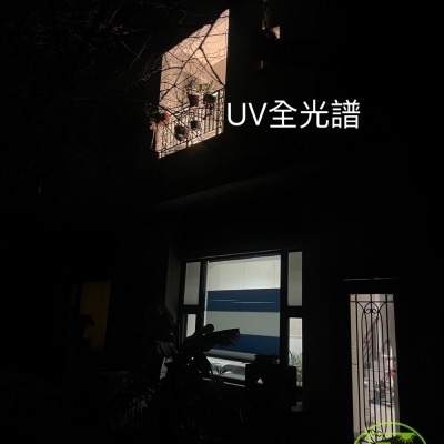 【互丞】UV 全光譜 基本型 燈管型 led 植物燈 防水 台灣製造 T8 鹿角蕨 蕨類 觀葉 室內植物 植物生長燈