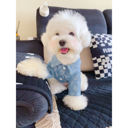 寵物牛仔衣服泰迪比熊博美約克夏雪納瑞小型犬可牽引狗狗夾克衣