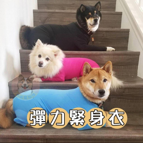彈力緊身衣:)) 狗狗衣服 狗衣服 寵物衣服 大狗衣服 小狗衣服 中大型犬柴犬博美保暖冬天貼身防掉毛緊身衣內搭秋衣搞笑