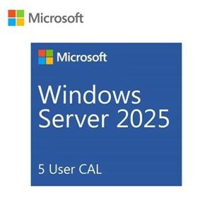 微軟Microsoft Windows Server 2025 5 User CAL 中文隨機版