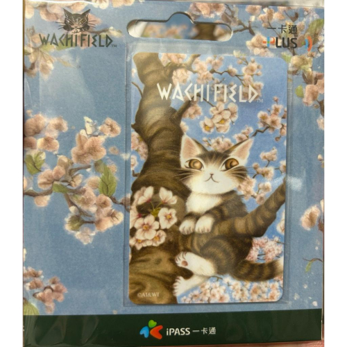 遠洋貓（櫻花樹）一卡通