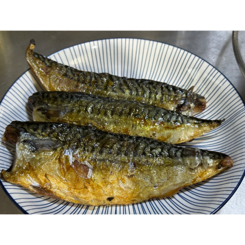 挪威鯖魚