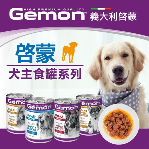 義大利 Gemon 啟蒙 主食犬餐罐 415g 狗罐頭 (狗主食罐 主食 狗罐 犬罐 罐頭 大犬罐)
