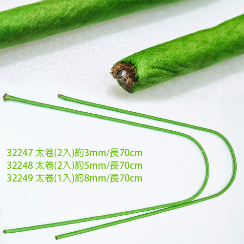 西西手工藝材料 太卷3~8mm(長約70cm) 粗太捲細太卷粗綠鐵粗鐵絲紙包鐵絲綠色 仿真花材料人造花藝假枝條 滿額免運