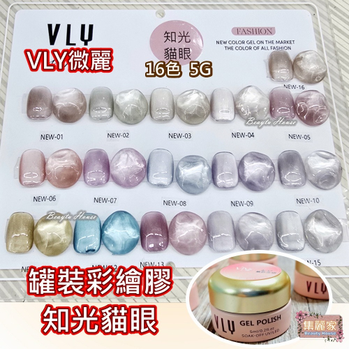 【集麗家】VLY罐裝彩繪膠 [知光貓眼] 16色 台灣品牌 色彩飽滿 沙龍級 美甲 工藝 上色 彩繪專業 美甲師推薦