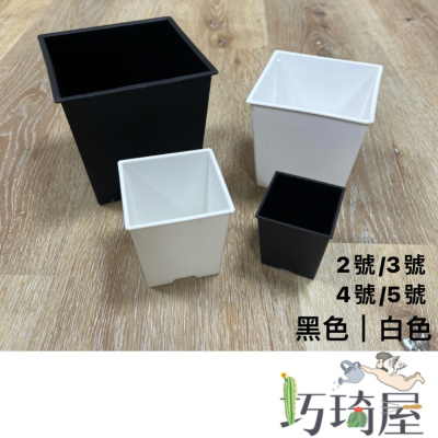 黑白方盆(2號/3號/4號/5號)多肉栽培盆 花盆 栽培盆 四方盆 塑膠花盆 觀葉植物花盆 透氣盆 多肉盆 方盆