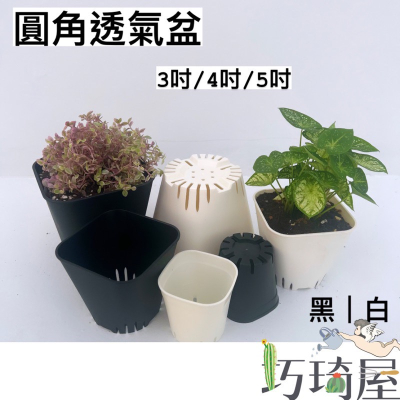 圓角透氣盆（3吋/4吋/5吋）小方盆 育苗盆 控根盆 塑膠花盆 多肉植物花盆 觀葉植物盆 培育盆 黑白育苗杯