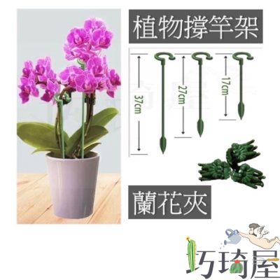 植物支撐架 蘭花夾 盆栽固定架 植物支撐桿 花卉固定 植物支撐桿 園藝支撐桿 植物架 爬架 支撐架