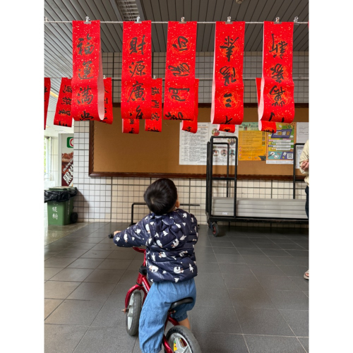 黑幕花影