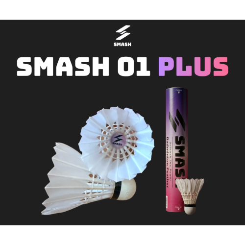 【iOPEN MALL 限時優惠】SMASH 01 PLUS