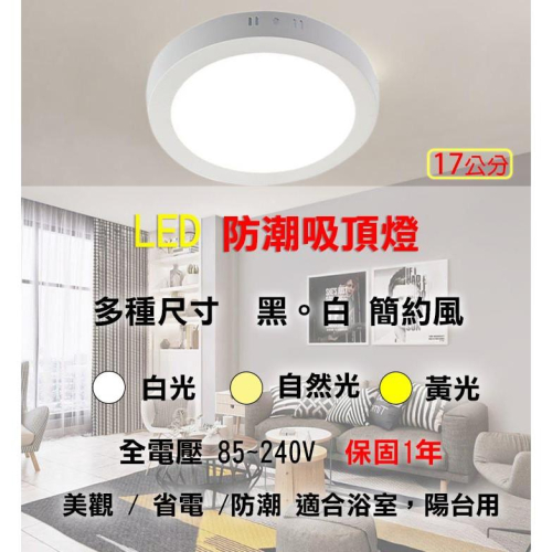 LED 17cm 12w防潮吸頂燈 黃/白光 全電壓 展示燈 展覽燈 浴室燈 廁所燈 壁燈 氣氛燈