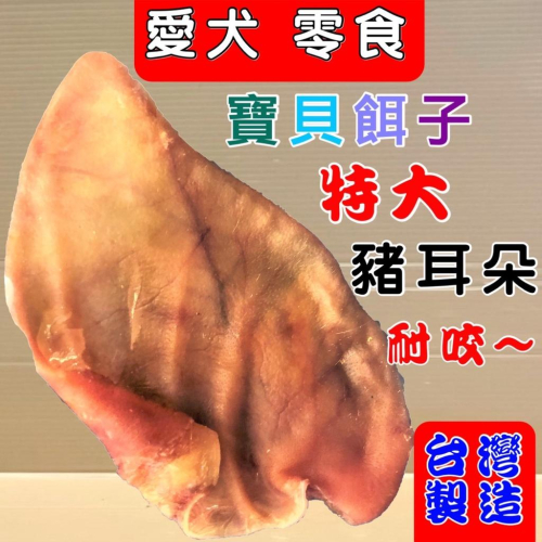 ?妤珈寵物店? 寶貝餌子 特大 豬耳朵 乾 一片裝 寵物 犬 狗 零食