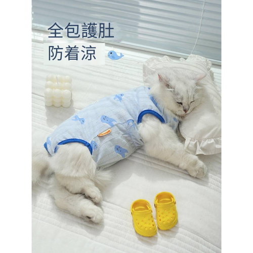 貓咪衣服防掉毛夏季薄款的布偶貓小貓寵物母貓斷奶貓貓夏天護肚衣