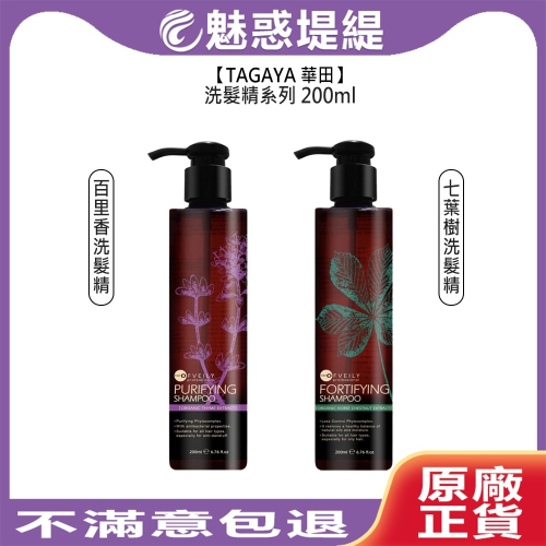 【魅惑堤緹?】TAGAYA 華田 百里香 七葉樹 洗髮精 200ml OFVEILY 歐菲莉 控油 蓬鬆 頭皮 清爽