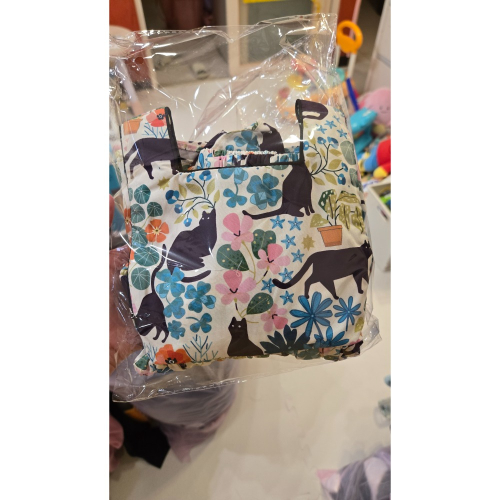 呱呱黑貓