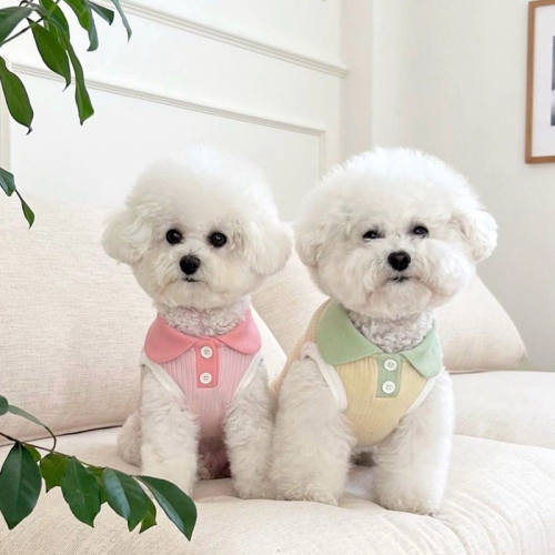 夏季薄款寵物翻領T恤狗狗衣服泰迪比熊博美小型犬貓咪約克夏貴賓