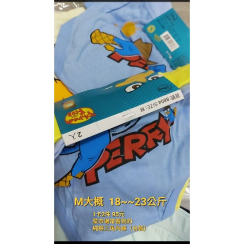 台灣製 兒童內褲 三角內褲 #M （2件1組$100）