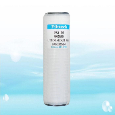 Filtteck/0.2微米/絕對濾心/10英吋/濾菌效果99.999%~水易購鳳山店