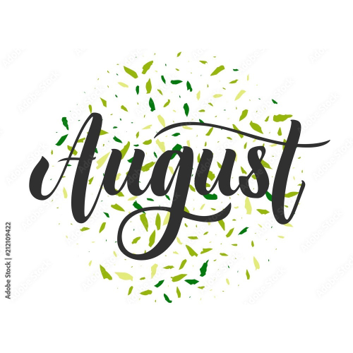 8月上架