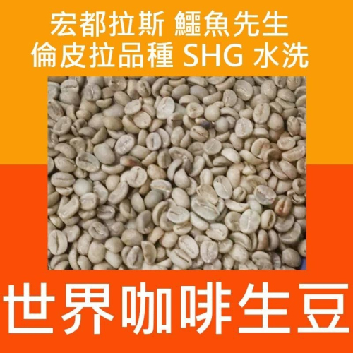1kg生豆 宏都拉斯 鱷魚先生 倫皮拉品種 SHG 水洗 - 世界咖啡生豆 咖啡生豆 精品豆 生豆 咖啡豆 鱷魚家族