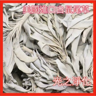 【白色鼠尾草強力淨化】快速出貨 淨化 智慧 直覺 鼠尾草淨化 磁場 能量 水晶 水晶消磁 【光之淨化】