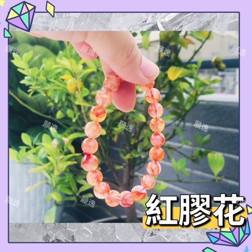 【願逸】紅膠花水晶錦鯉 水晶 手串
