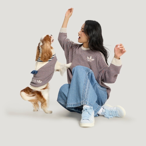 【預購】快速到貨⚡️ adidas originals 愛迪達HOLIDAY PACK SWT針織連帽毛衣