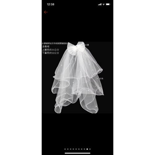 登記頭紗