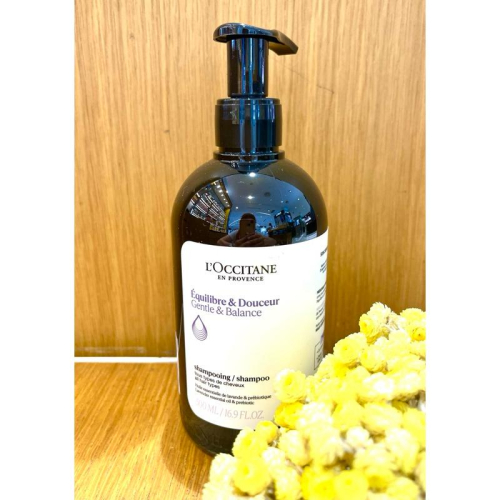 ‼️舒緩頭皮‼️?愛分享?L＇OCCITANE 歐舒丹 草本平衡洗髮乳 300/500ml 全新台灣專櫃貨 有中文標