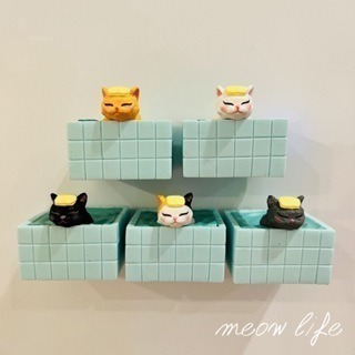 Meow life 泡湯貓 溫泉貓 洗澡貓 貓咪磁鐵 冰箱磁鐵 冰箱貼 貓咪造型磁鐵 立體磁鐵 [台灣現貨]