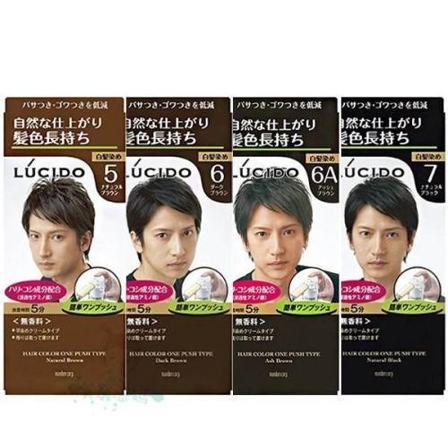 日本 LUCIDO 按壓式染髮霜 自然黑/深棕/自然棕/灰褐 四款供選【美麗密碼】