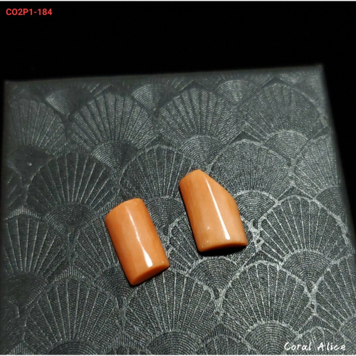 ?Coral珊寶手作-天然MOMO珊瑚造型裸石 CO2P1-184