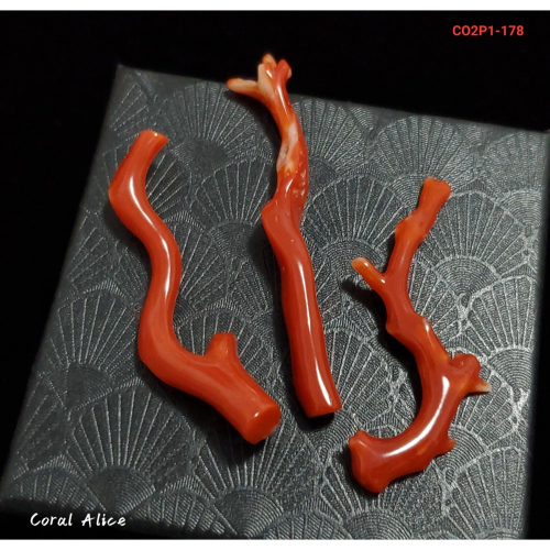 ?Coral珊寶手作-天然阿卡珊瑚自然枝(無孔) CO2P1-178