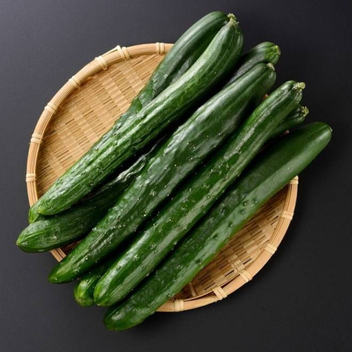 溫室小胡瓜