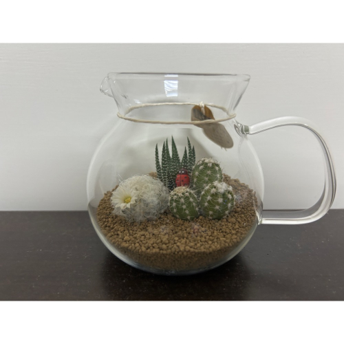 仙人掌組合（特定買家下單